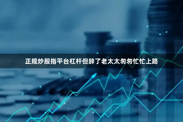 正规炒股指平台杠杆但辞了老太太匆匆忙忙上路